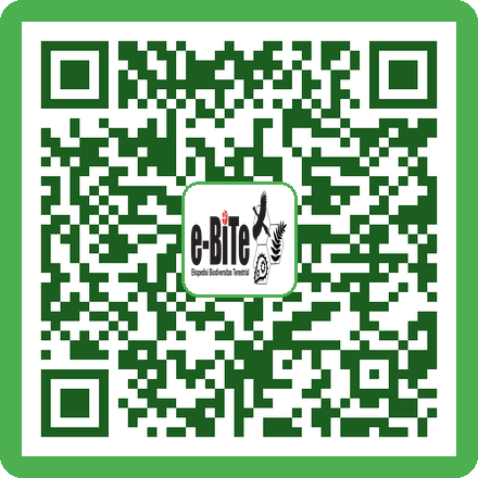 QR Aluminium Foil
