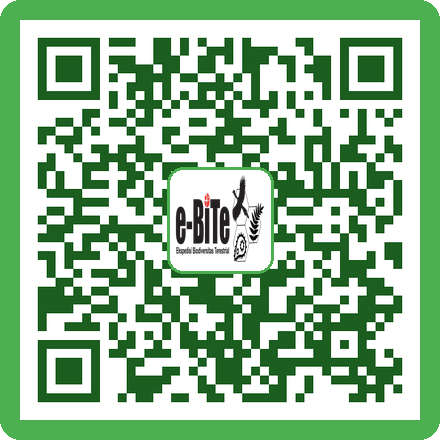 QR Banana Trap