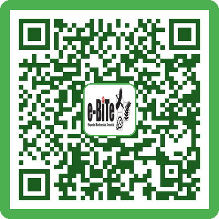 QR Bunsen, Korek API & Spiritus