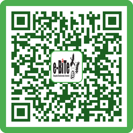 QR Drawer Spesimen Serangga