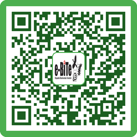 QR Glue Trap