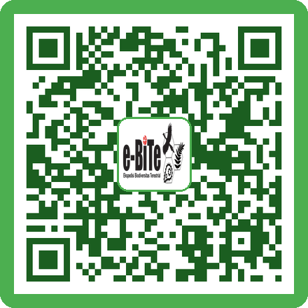 QR Gunting Stek