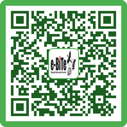 QR Kantong DNA (Tea Bag)