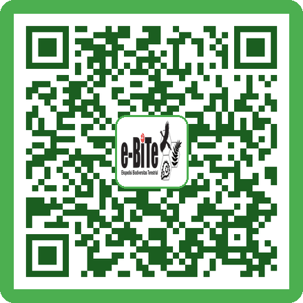 QR Kasmin Trap