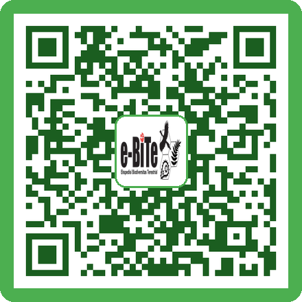 QR Kertas pH