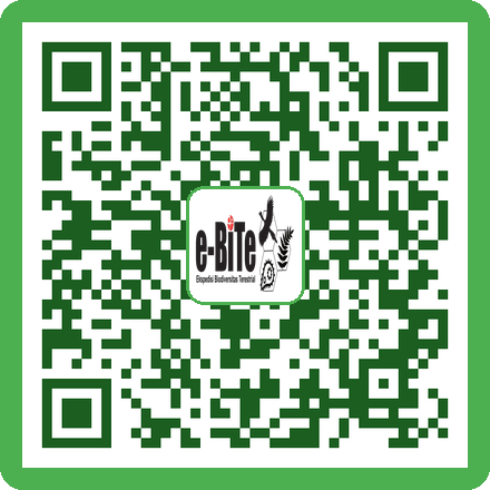 QR Koran