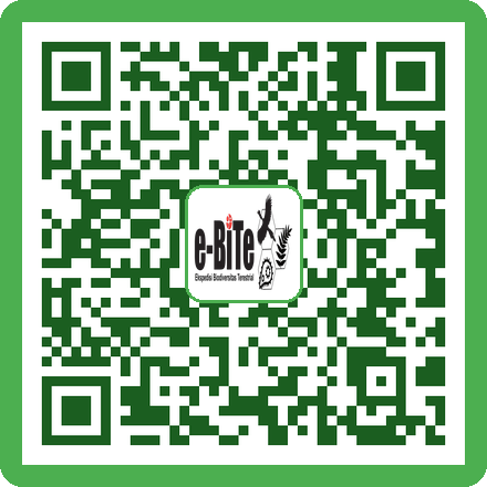 QR LAF Portable
