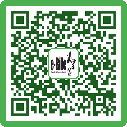 QR Lup (Hand Lens)