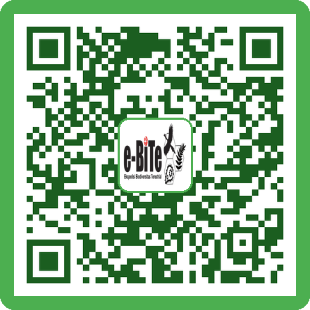 QR Penggaris
