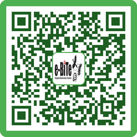 QR Pipet Pasteur