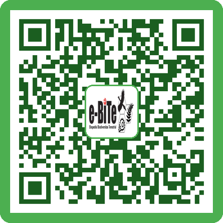 QR Pipet Plastik