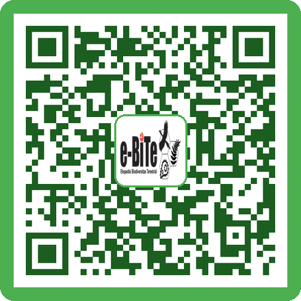 QR Rak Tabung Reaksi