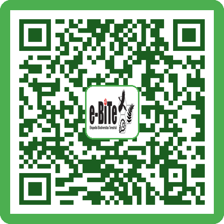 QR Silica Gel
