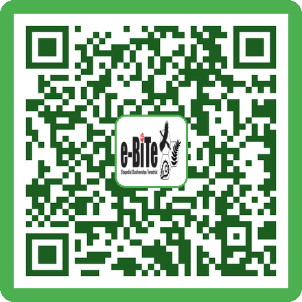 QR Soundscape