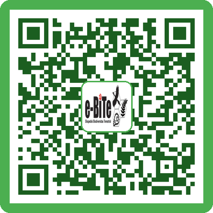 QR Sprayer Alkohol