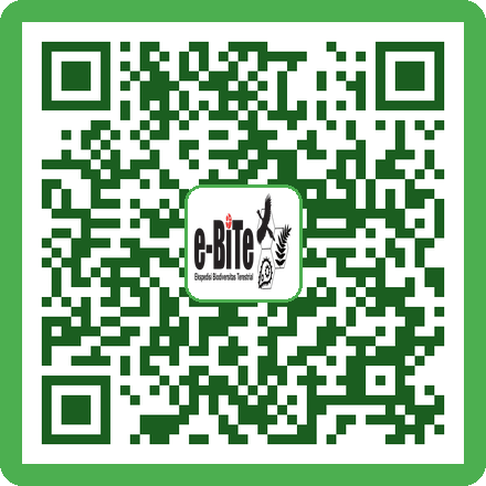QR Tray Sortir