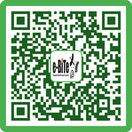 QR Wadah Plastik